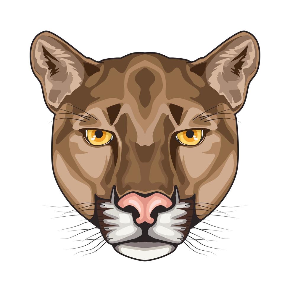 Puma animal personaje de cabeza salvaje en fondo blanco. vector