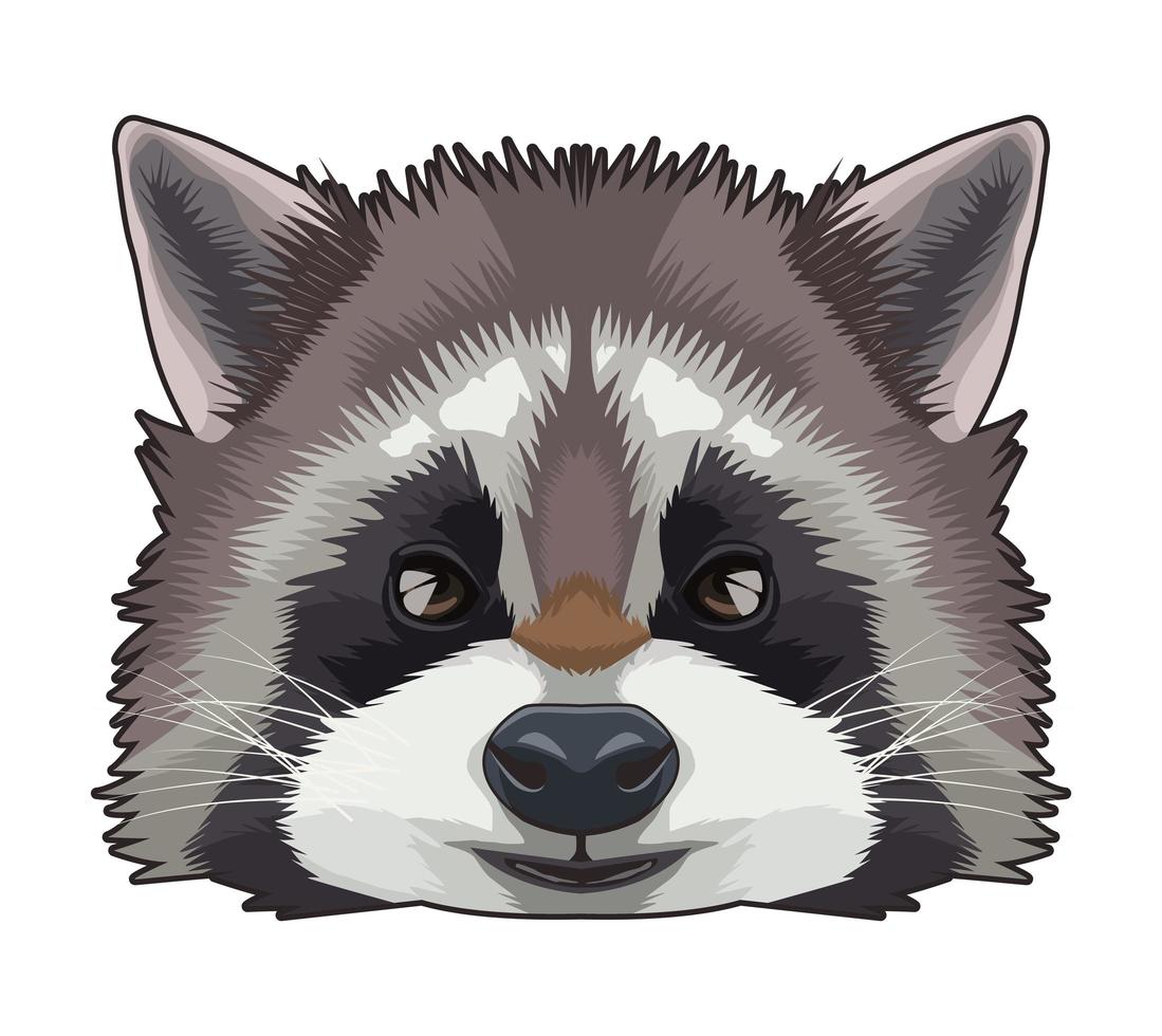 raccoon animal wild head character icon vector