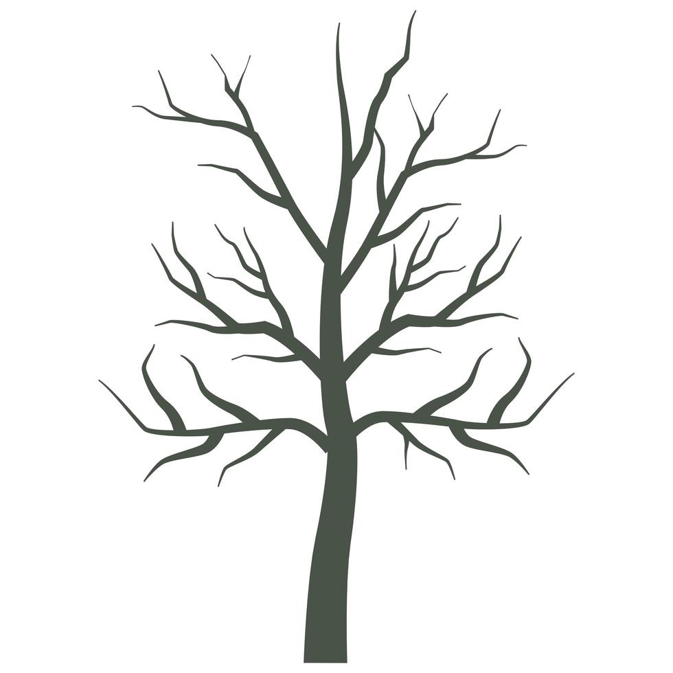 dry tree plant isolated icon vector