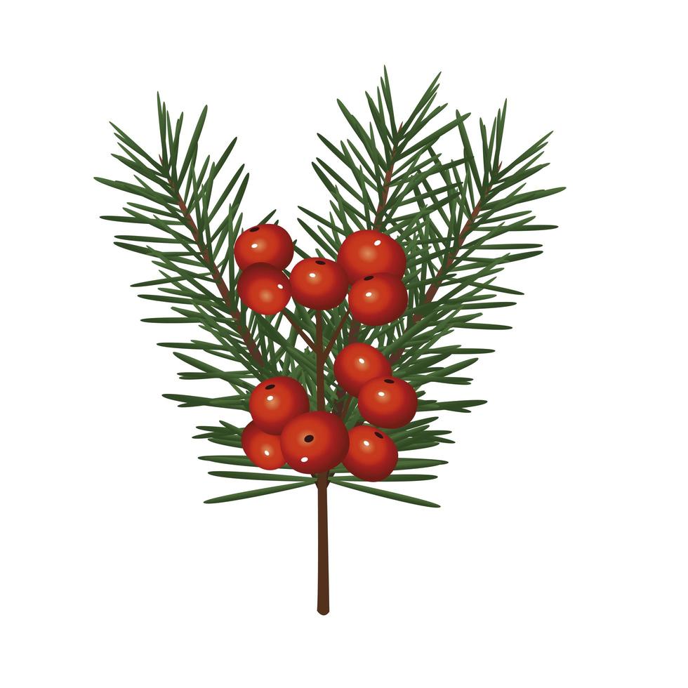 feliz navidad abeto hojas de árbol con frijoles vector