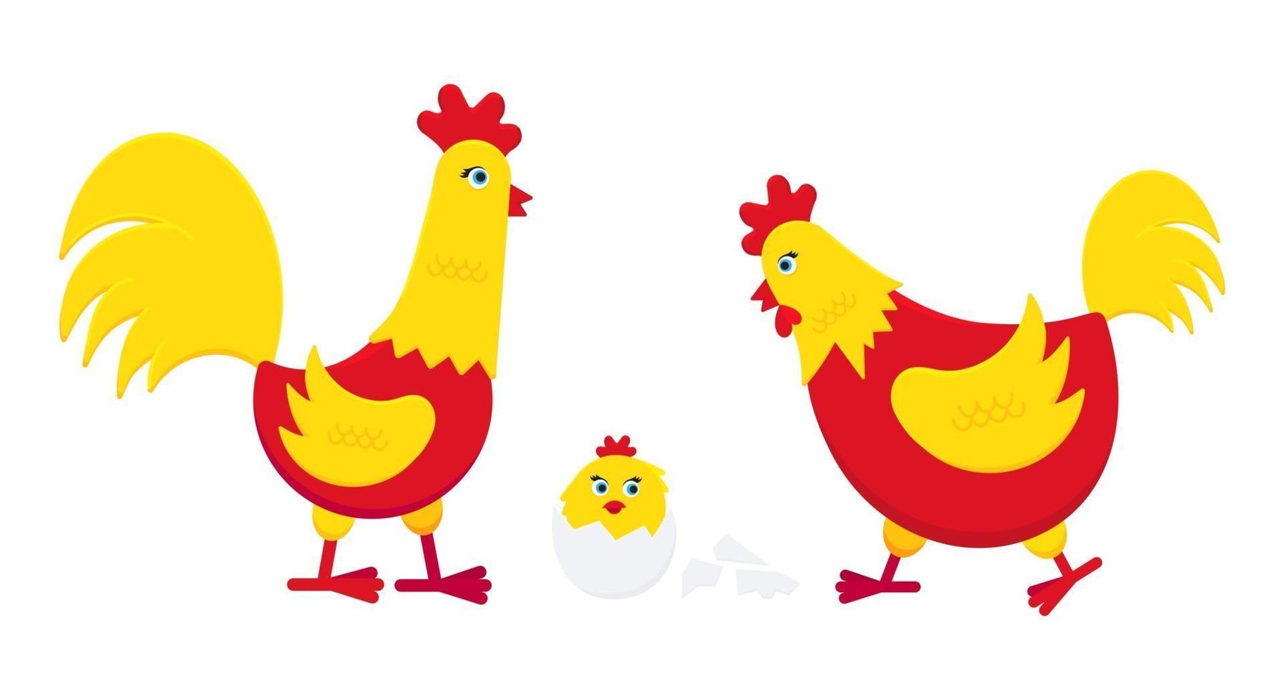 Yellow and red chicken with broken egg and a rooster cock flat style design vector illustration