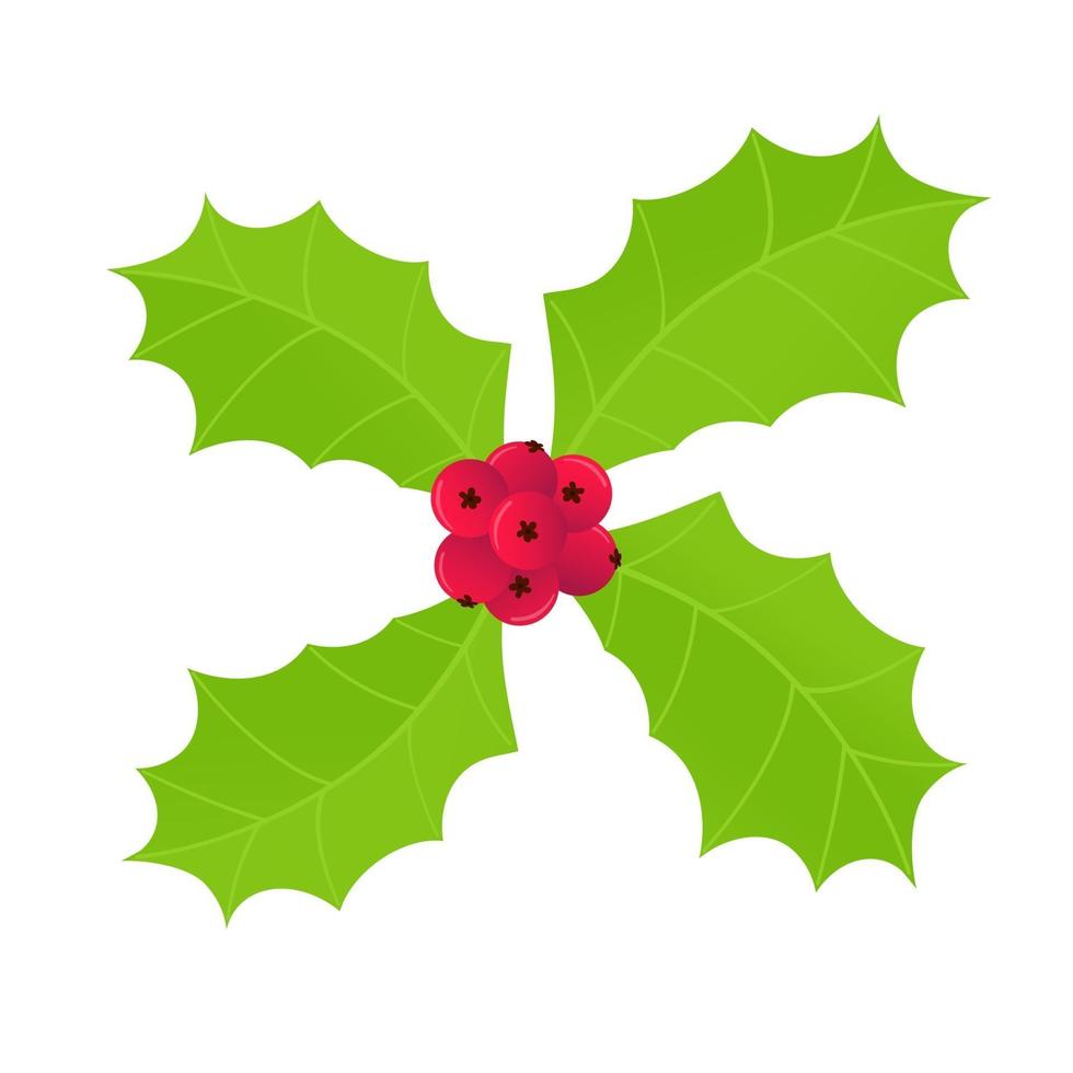 Winter and holiday symbol holly berries icon sign vector
