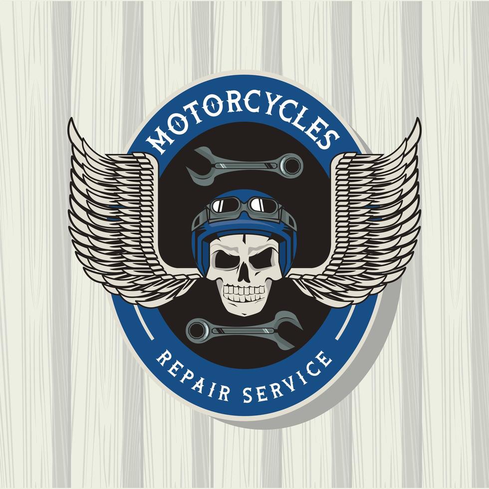patche skull flying vector