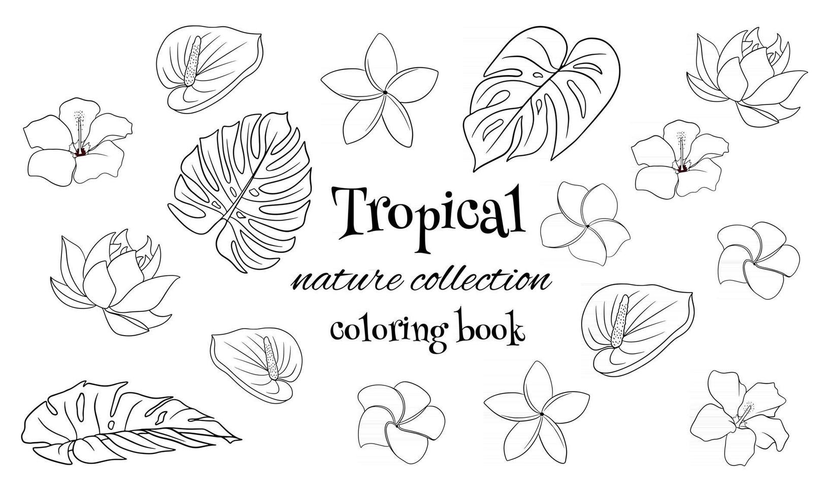 colección tropical con flores exóticas y hojas talladas en un libro para colorear de estilo de línea vector