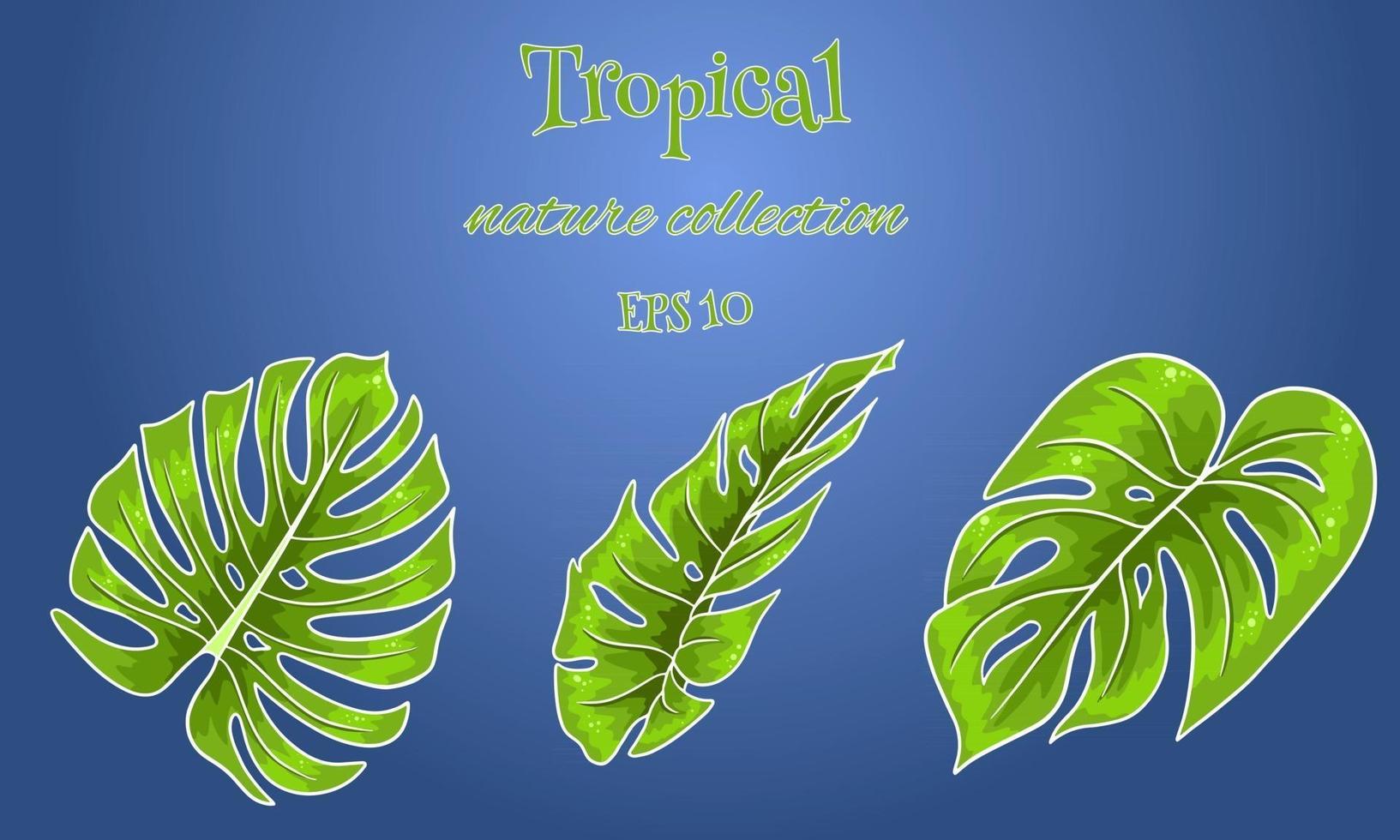 Tropical set with exotic carved palm leaves in cartoon style vector