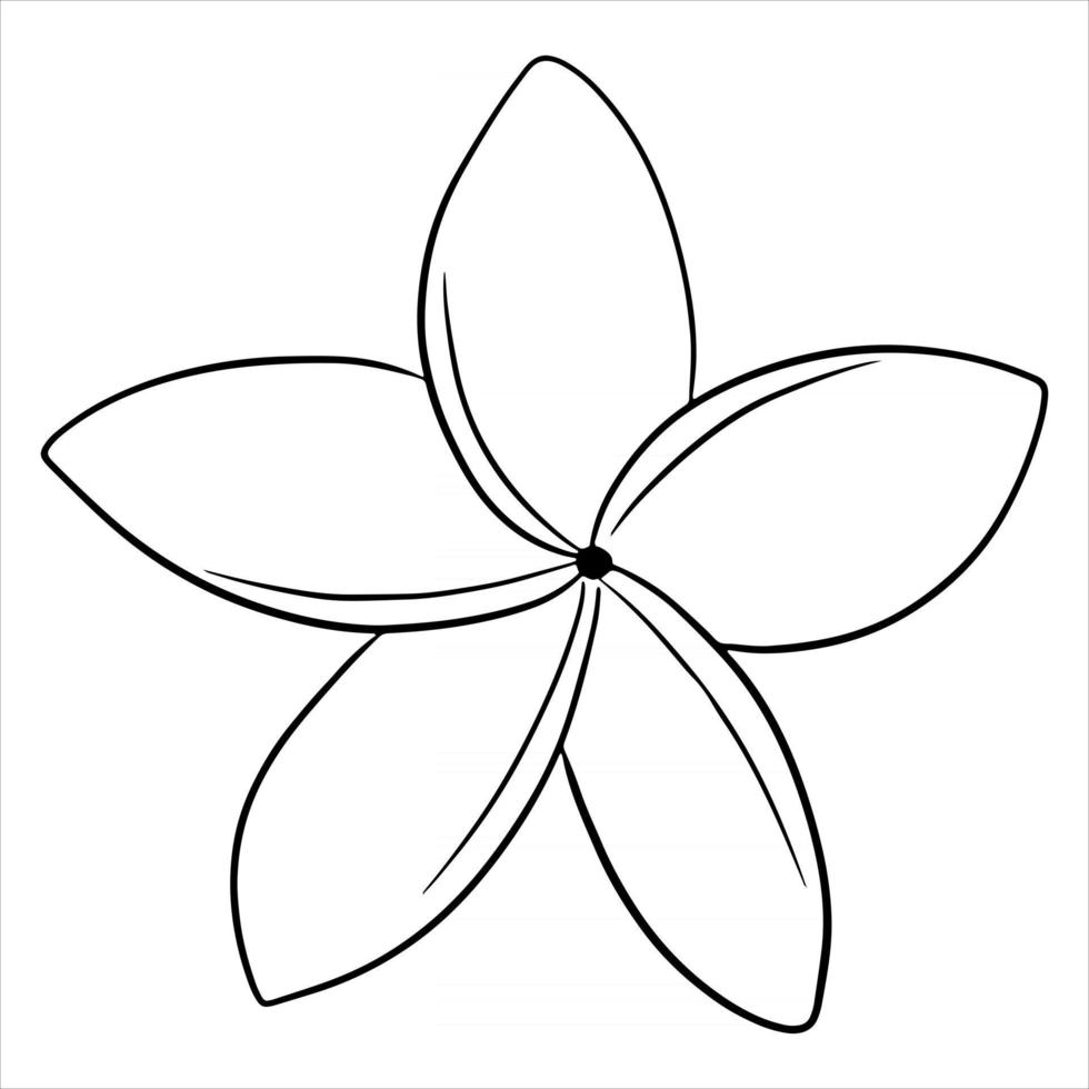 Tropical plant bright flower in line style for coloring book vector