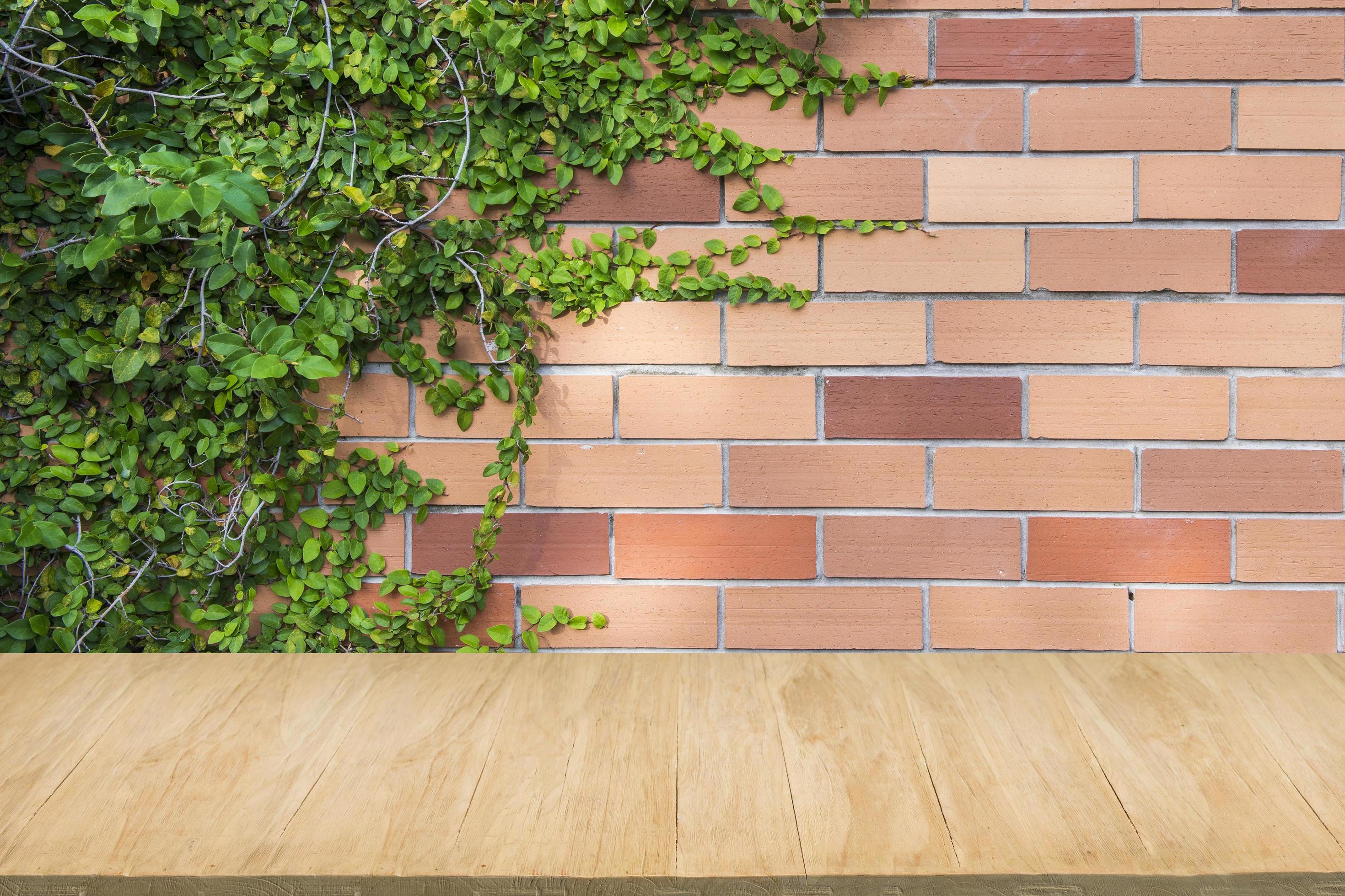 Wood floor with background of red brick wall and green plant 2501357
