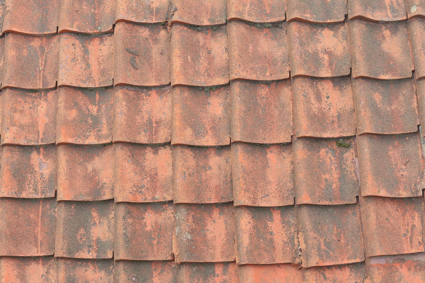 Red tile roofs photo