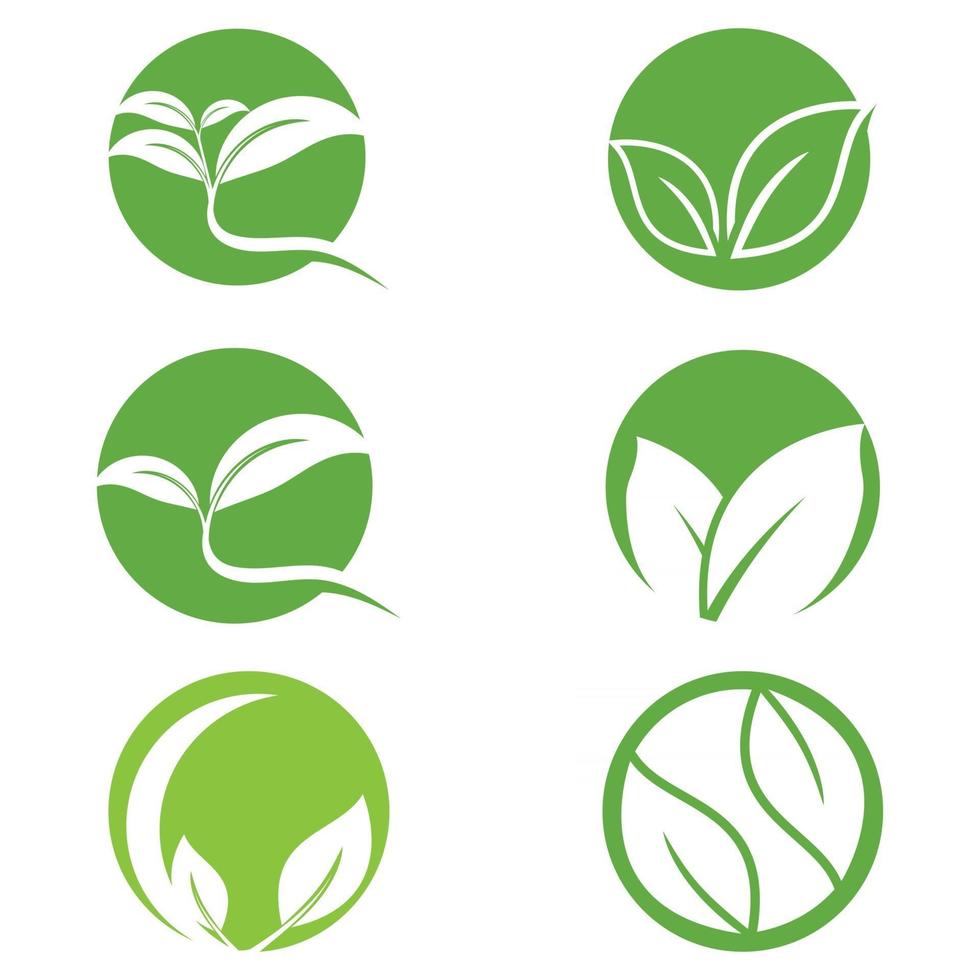 Leaf icon Vector Illustration design Logo template