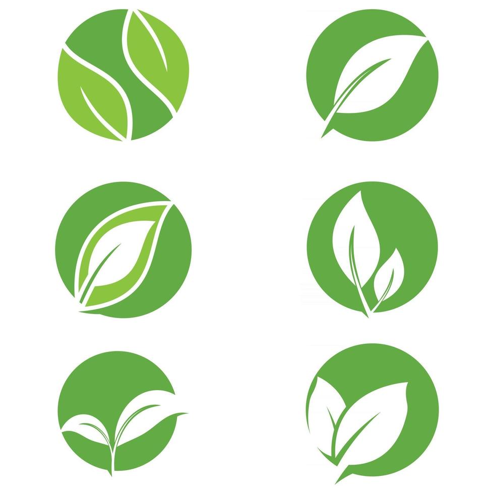 Leaf icon Vector Illustration design Logo template