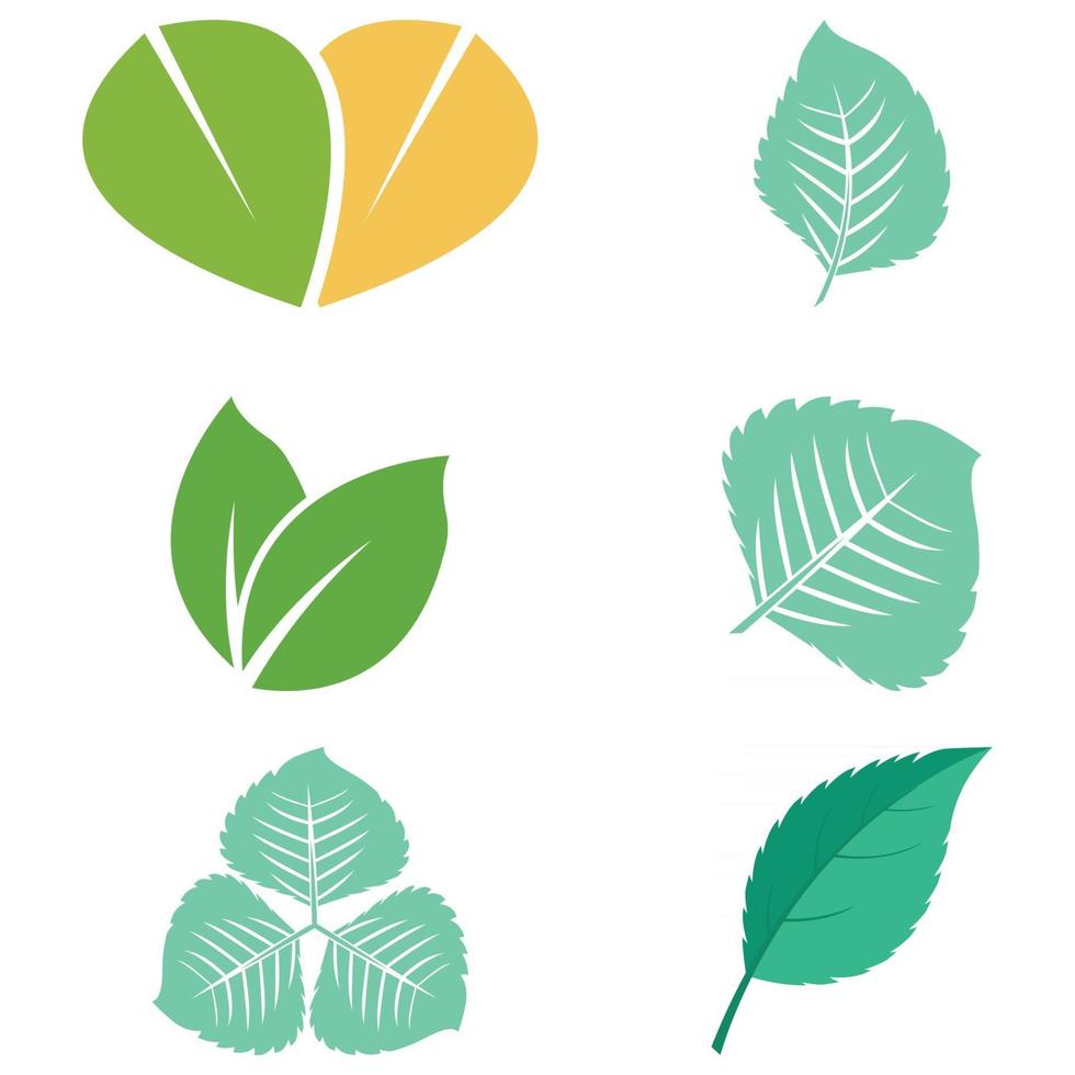 Leaf icon Vector Illustration design Logo template