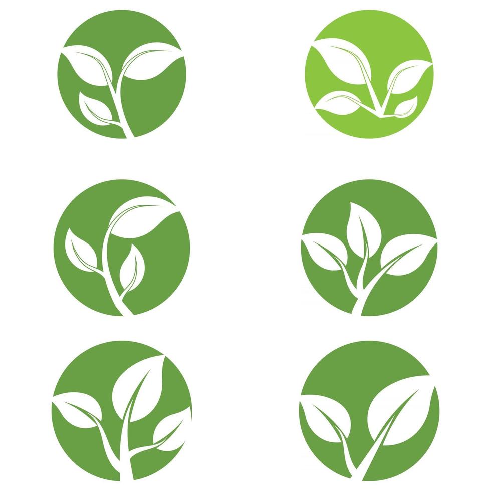 Leaf icon Vector Illustration design Logo template