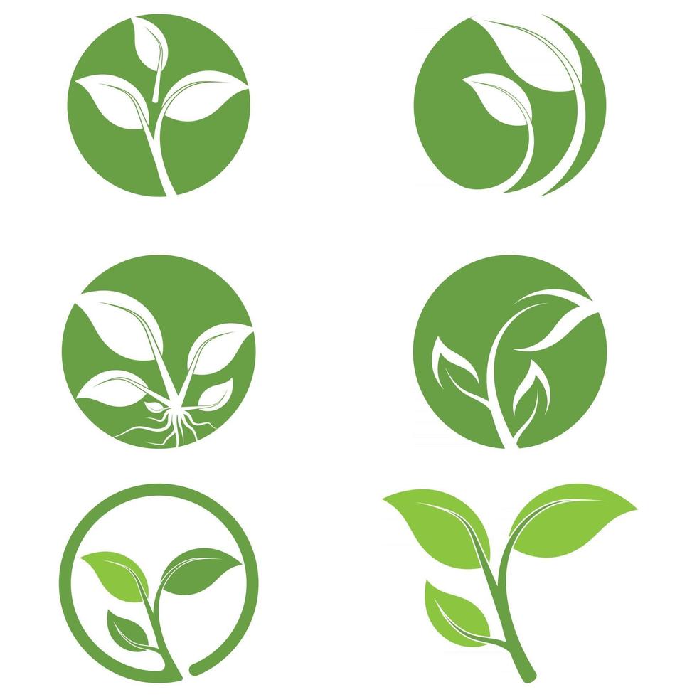 Leaf icon Vector Illustration design Logo template