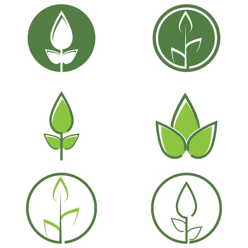 Leaf icon Vector Illustration design Logo template