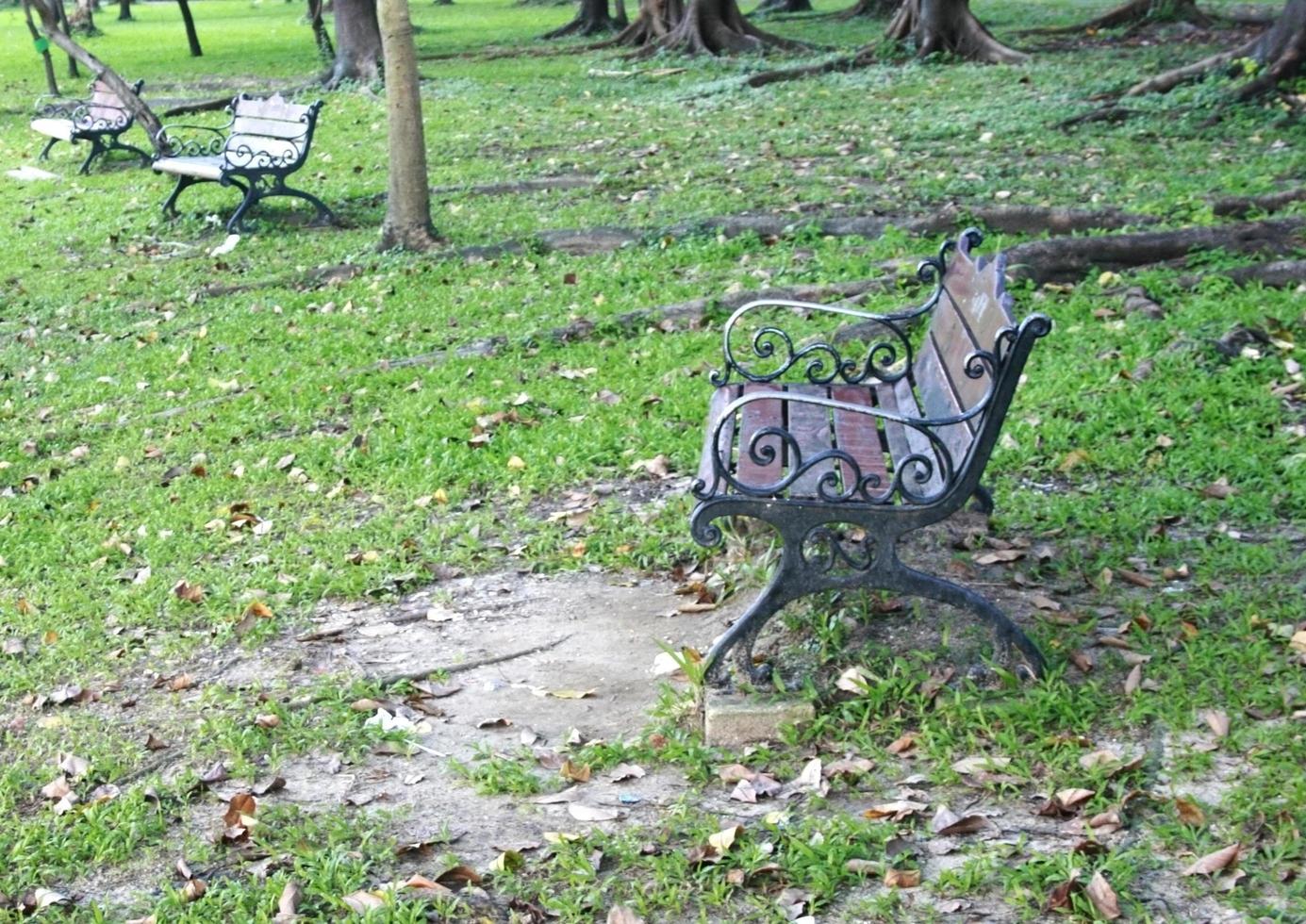 Metal garden bench in the park photo