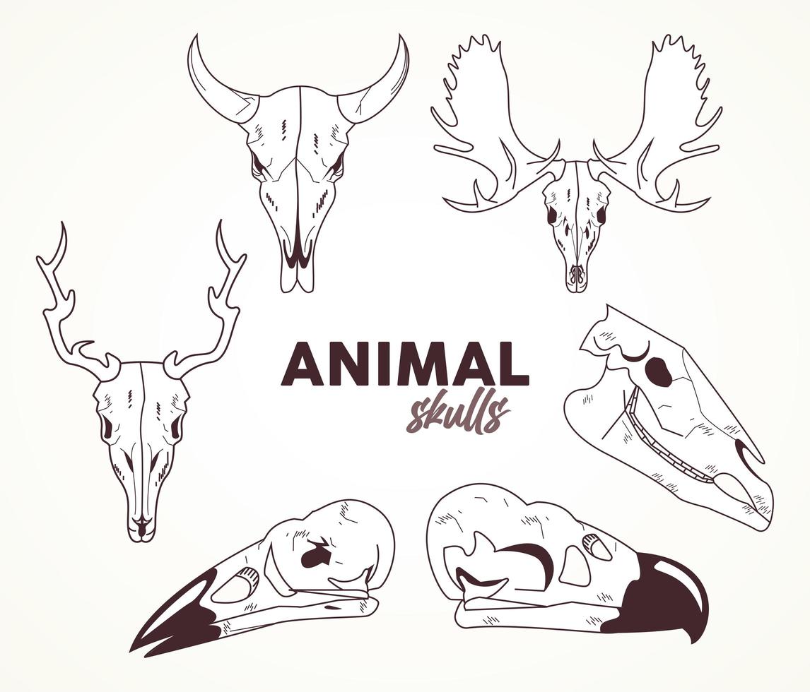 paquete de seis cráneos animales cabezas iconos vector