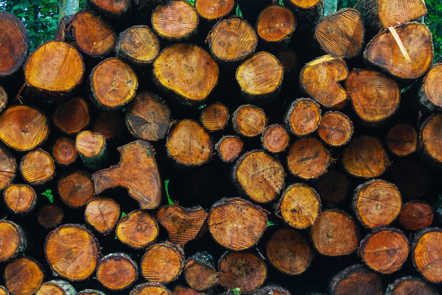 Cutting wood timber background photo