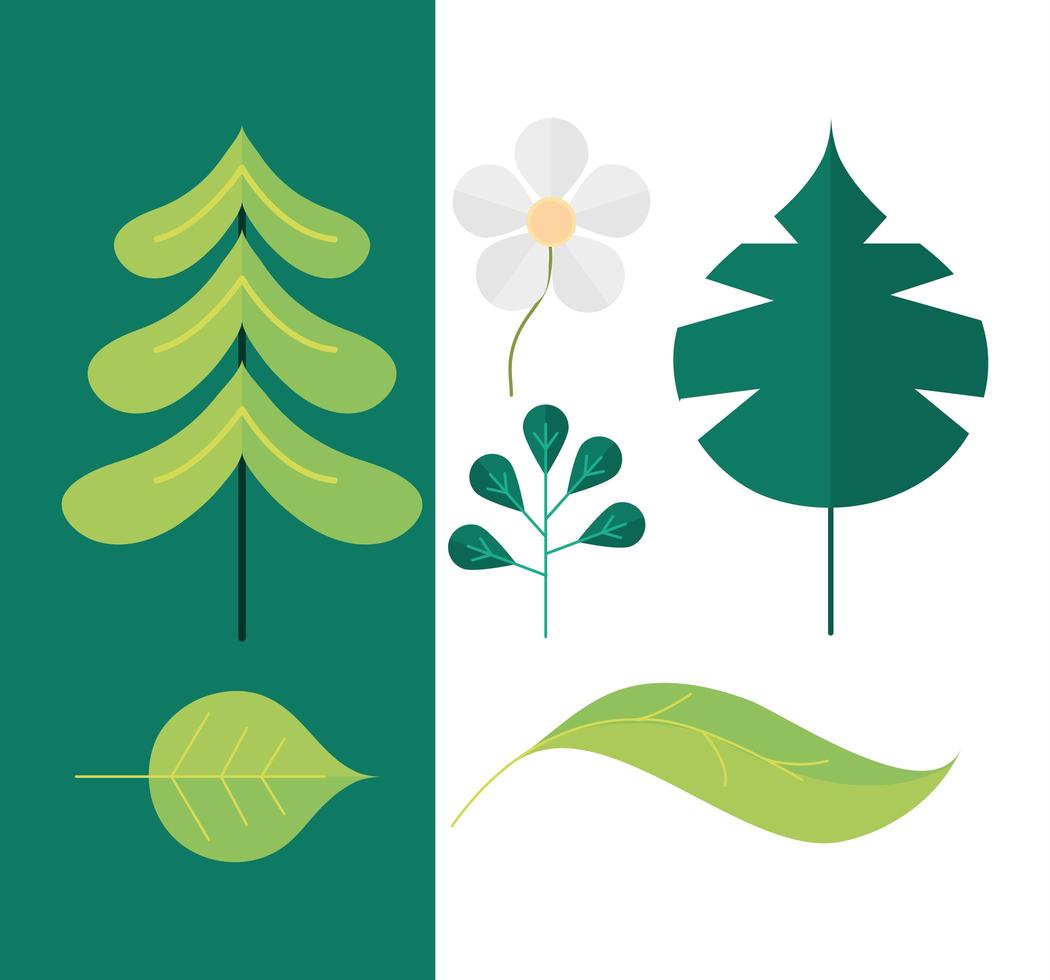 green leaf tree vector