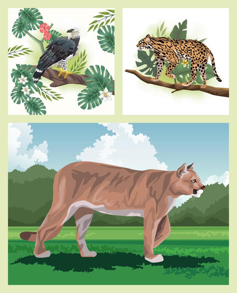 group of wild and exotic animals vector