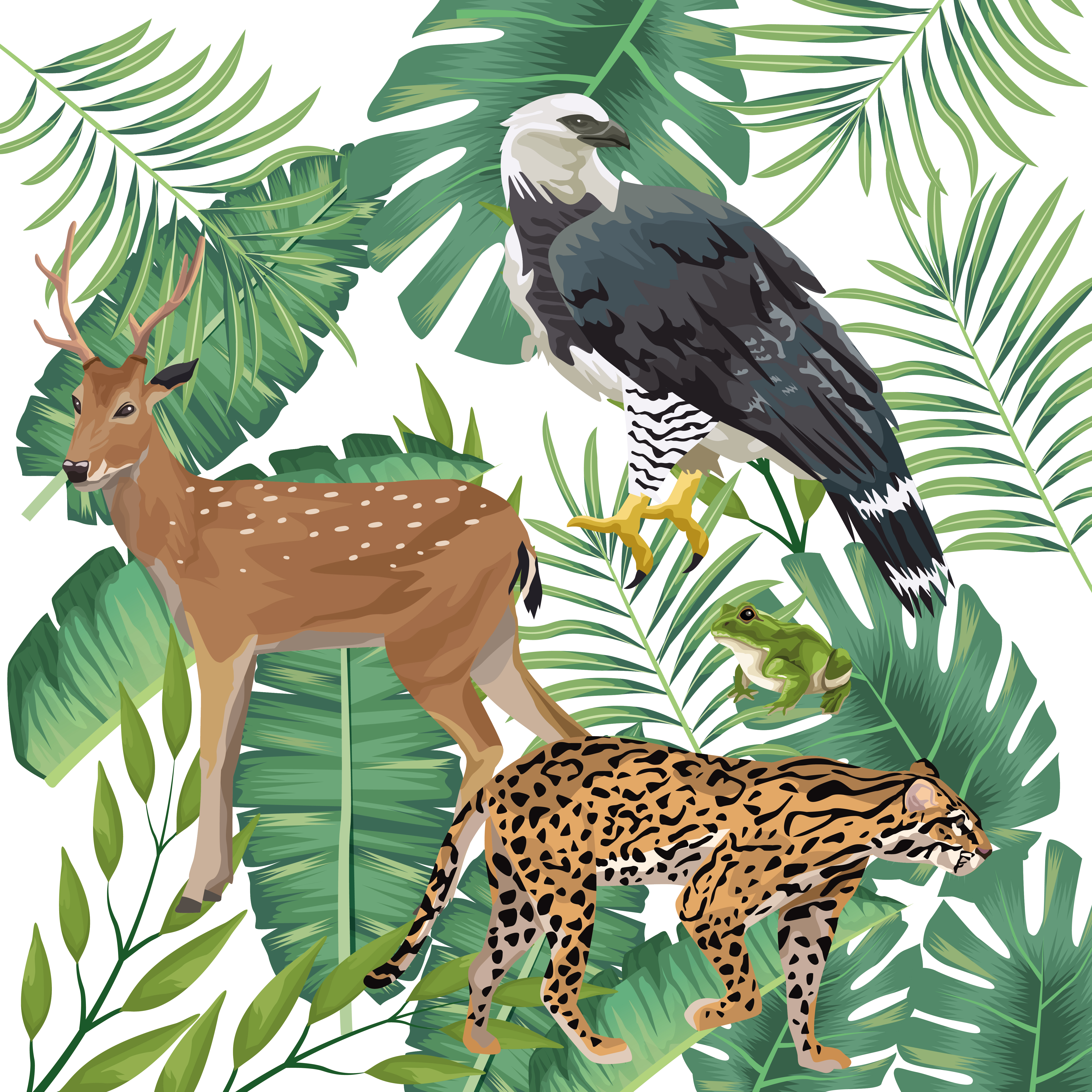 group of wild and exotic animals 2503151 Vector Art at Vecteezy