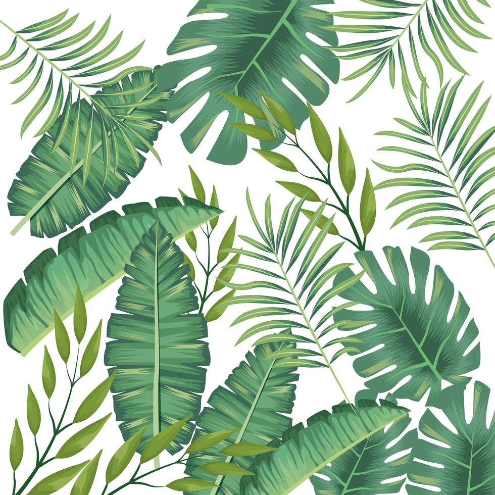 tropical leafs foliage pattern background vector