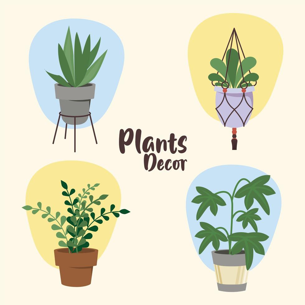 Paquete de cuatro plantas caseras en macetas de cerámica, decoración y letras. vector