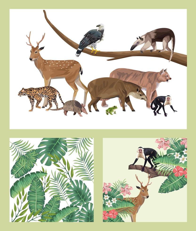 grupo de animales salvajes y exóticos. vector