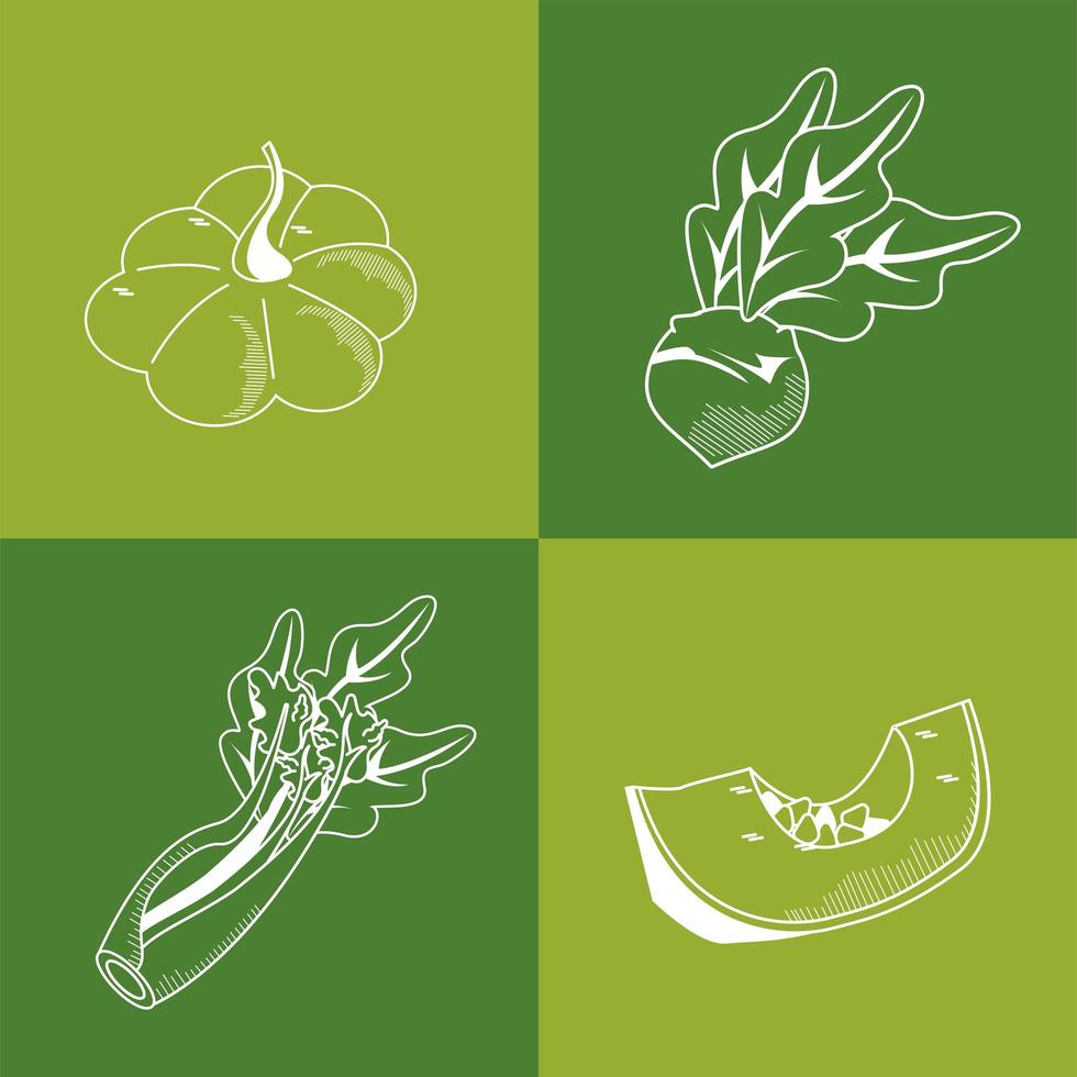 bundle of four vegetables set icons vector