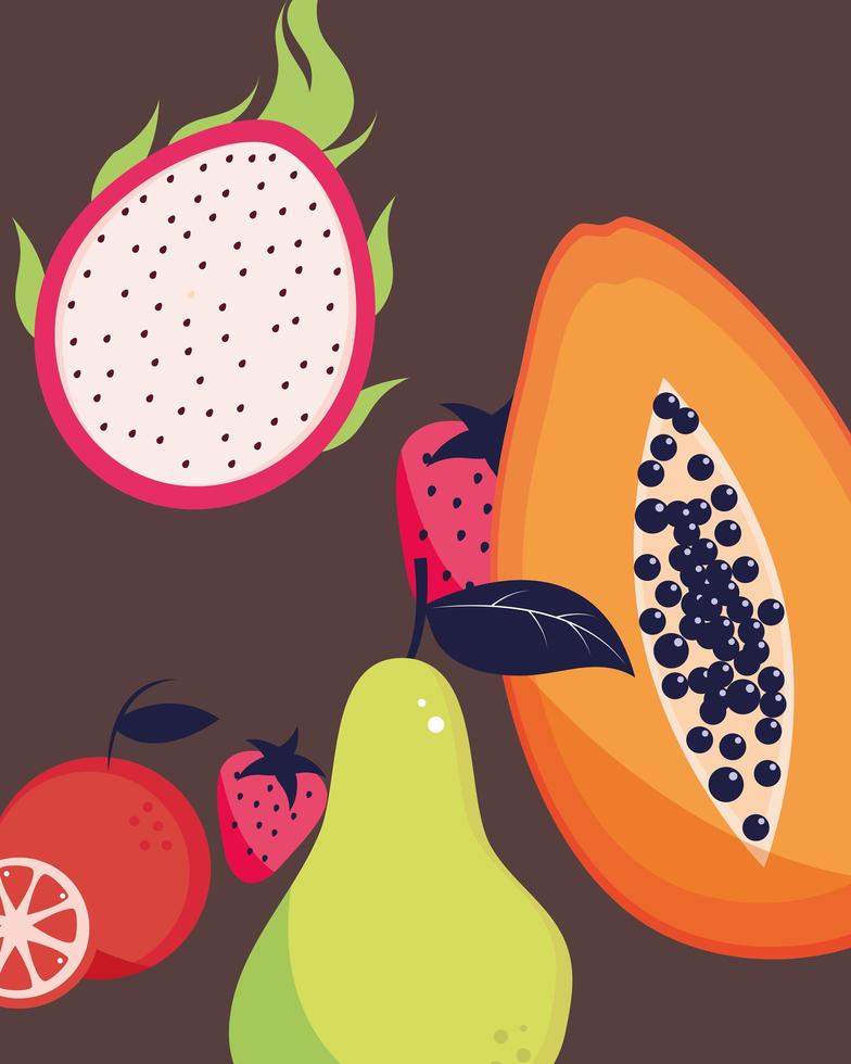 tropical fruits cartoon vector