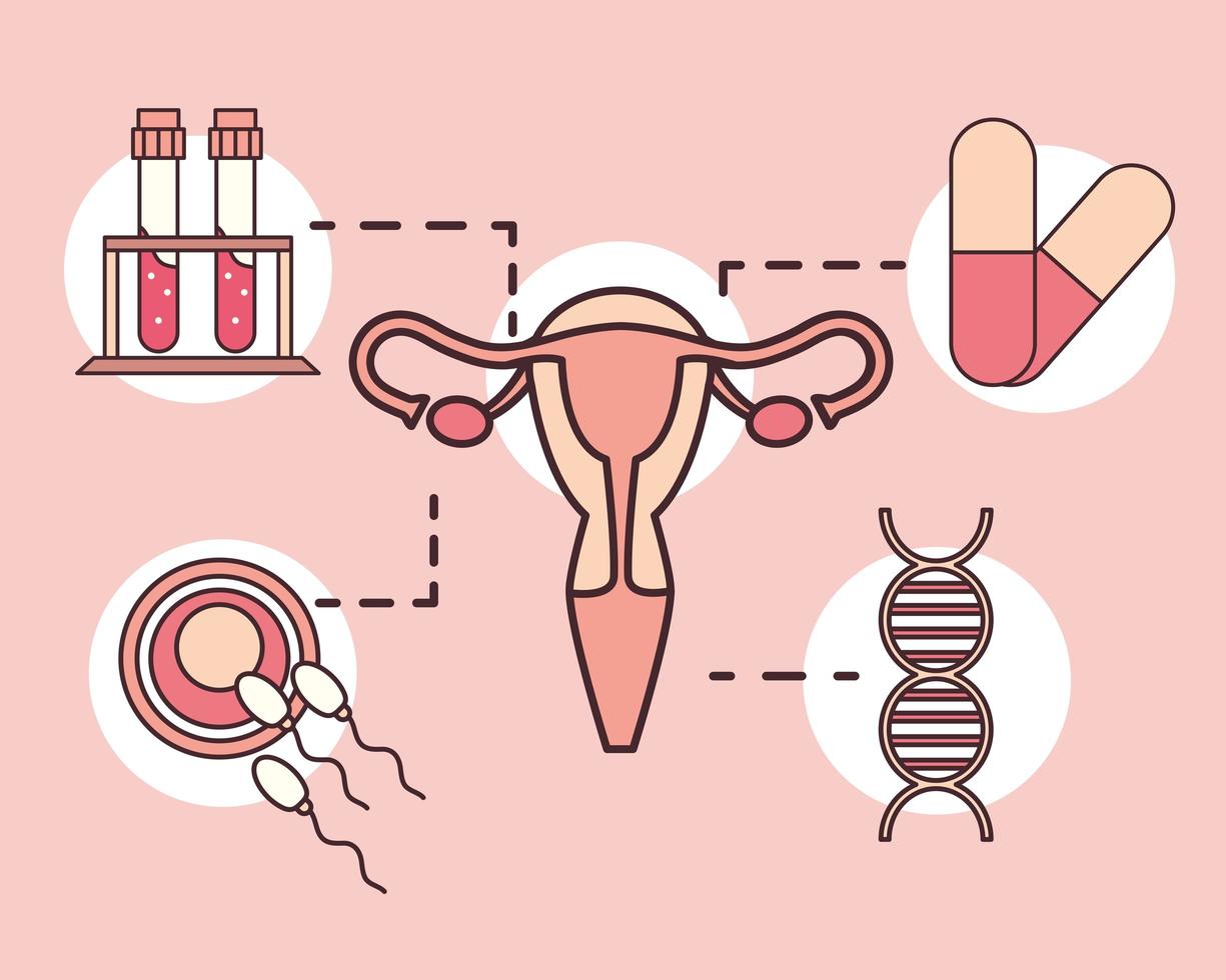 gynecology medical set vector