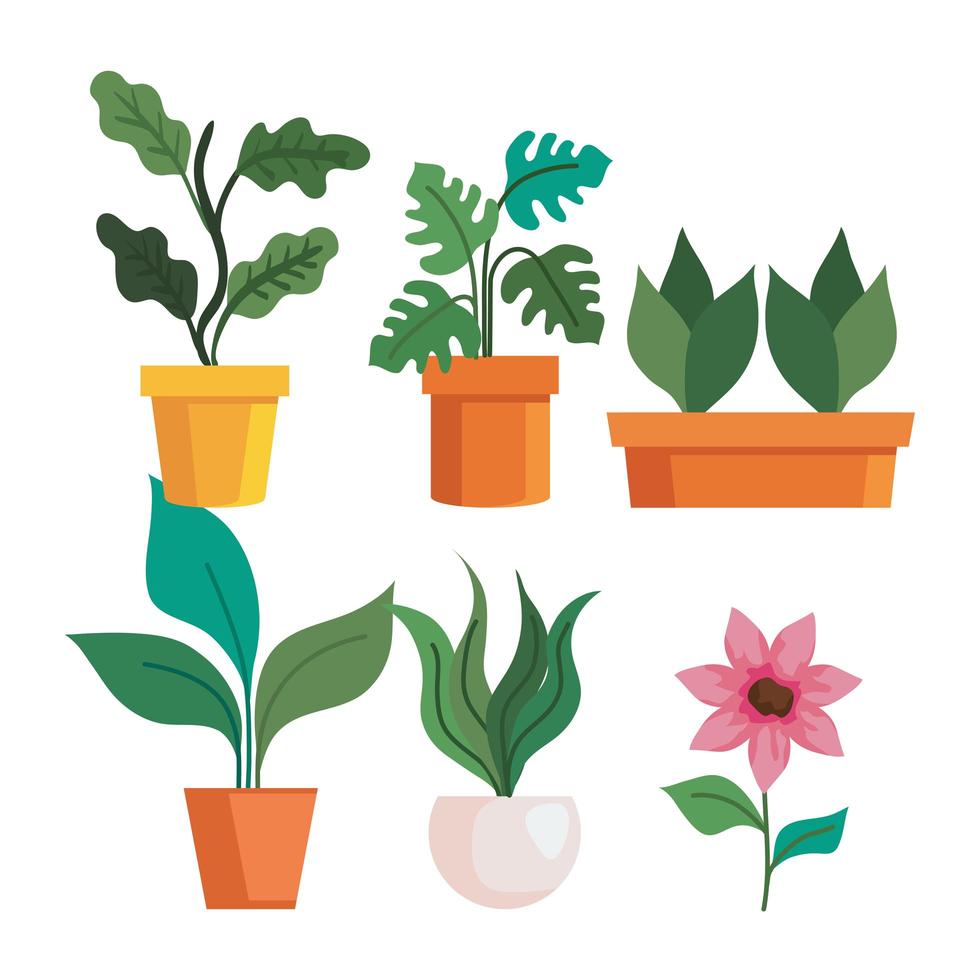 Gardening plants inside pots and flower vector design