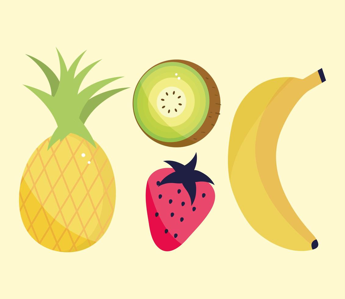 tropical exotic fruits vector