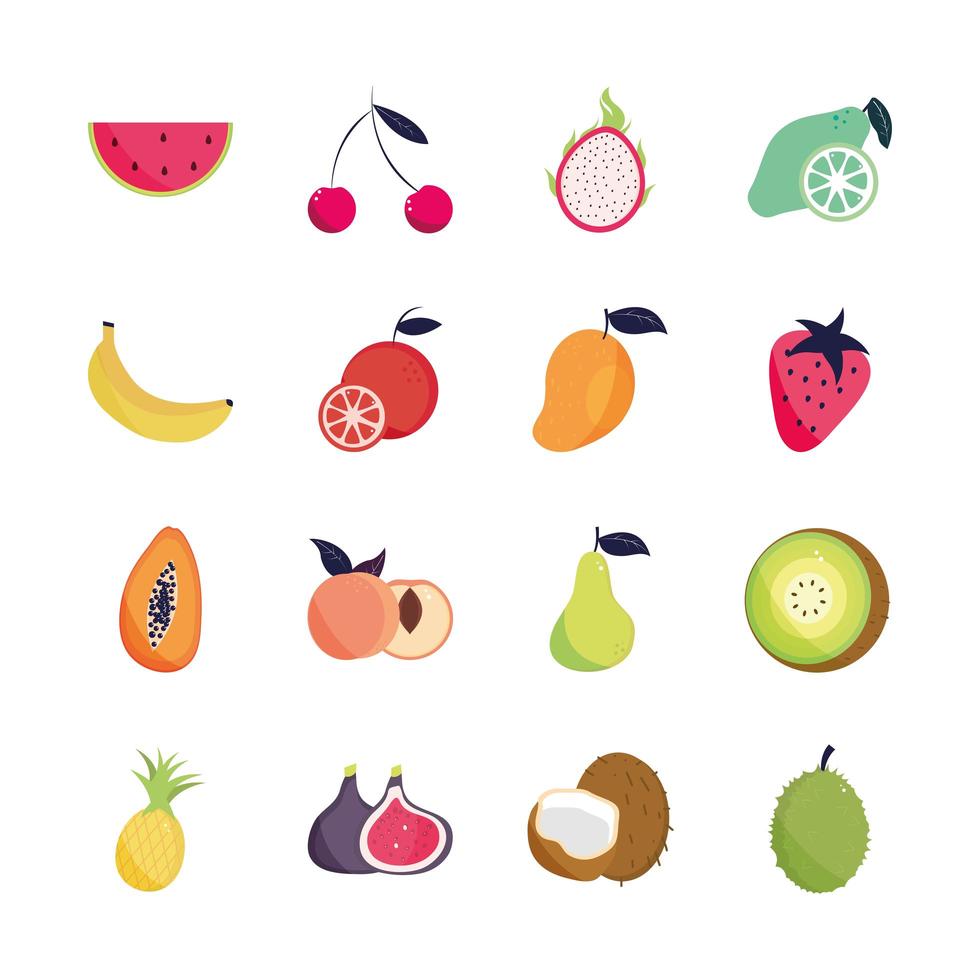 conjunto de frutas tropicales vector