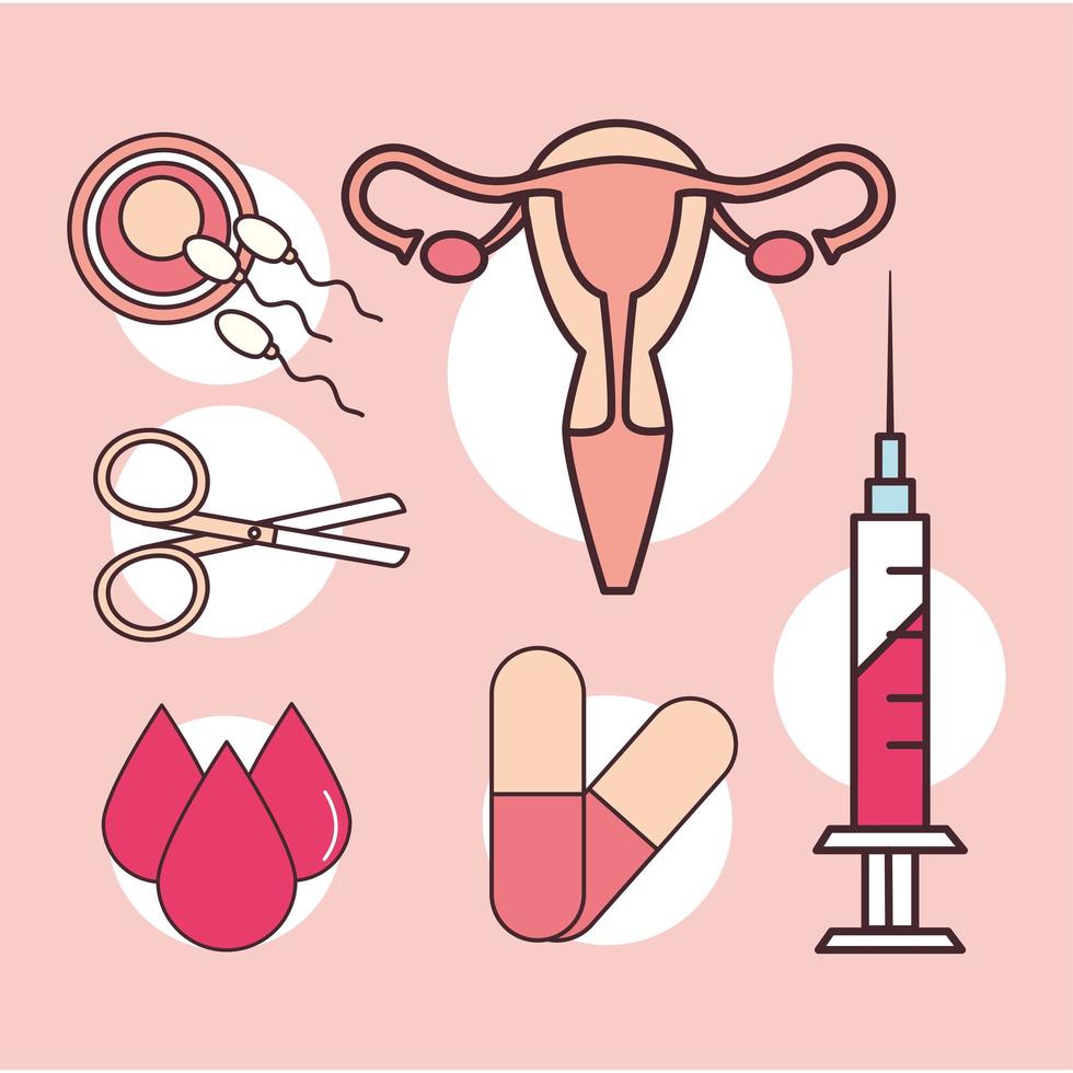 gynecology uterus fertilization vector