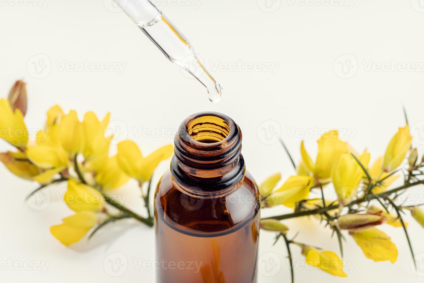 Close up of a pipette amber bottle and yellow flower branch photo