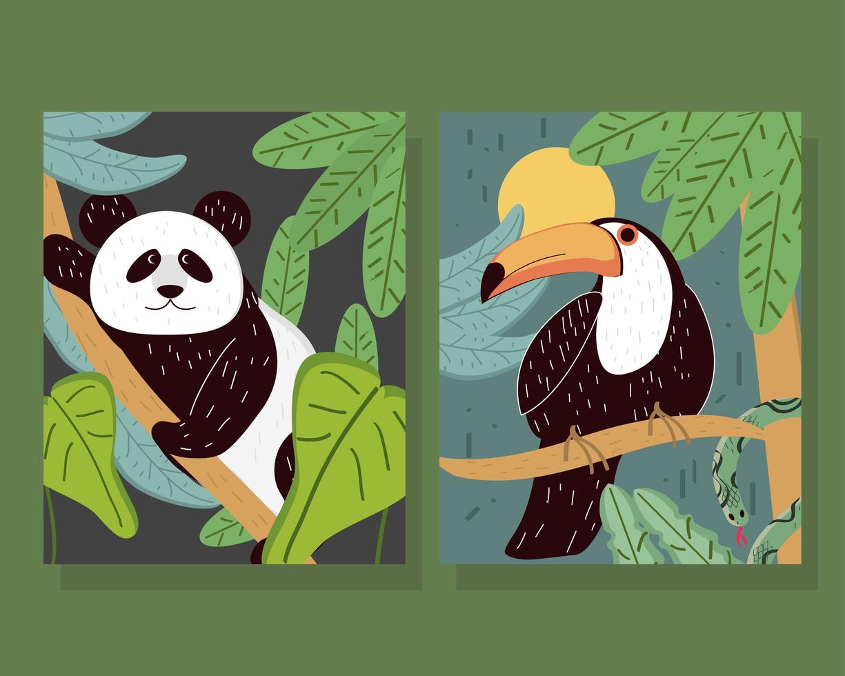 tucán panda tropical vector