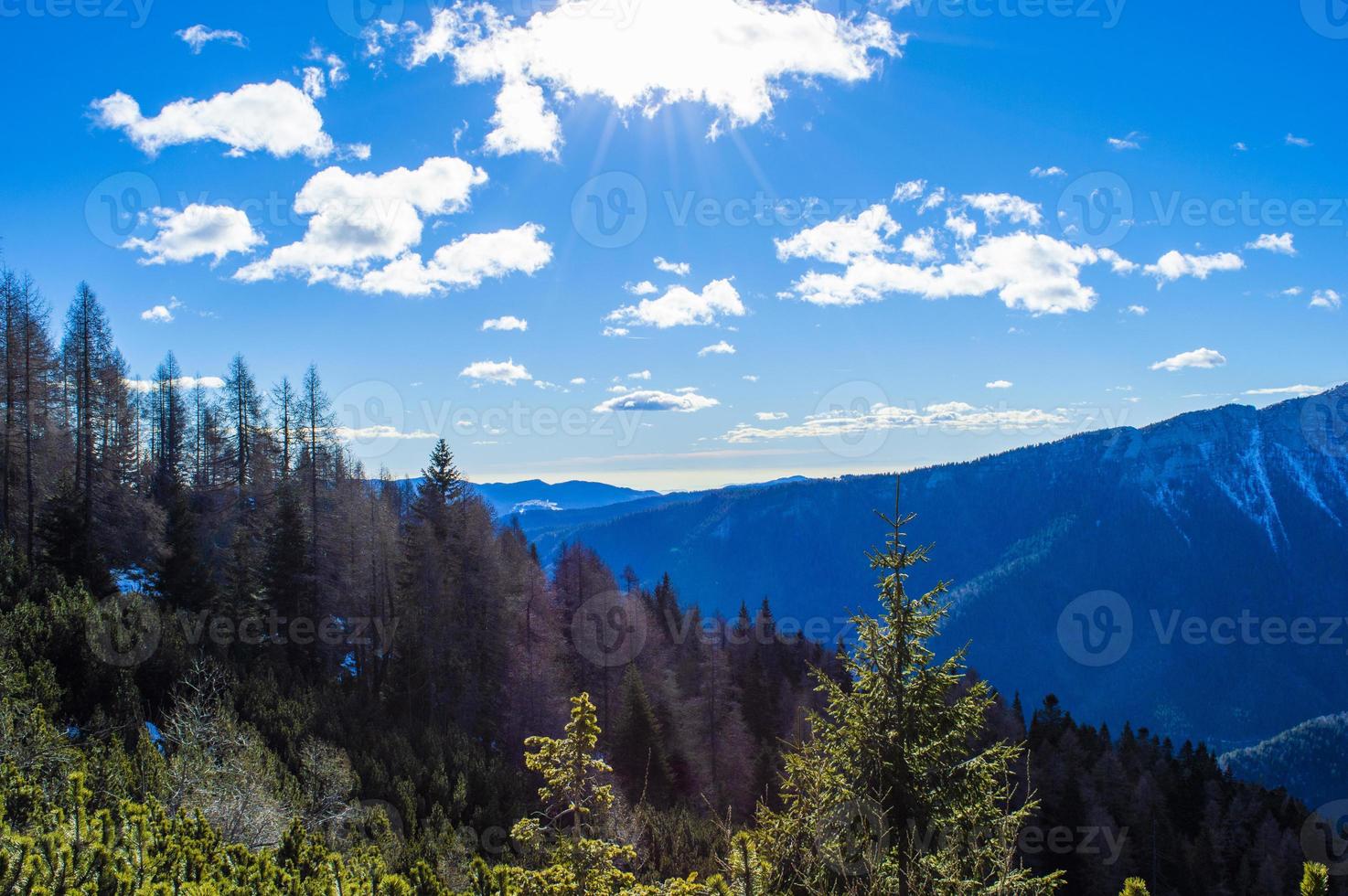 Trees and mountains photo