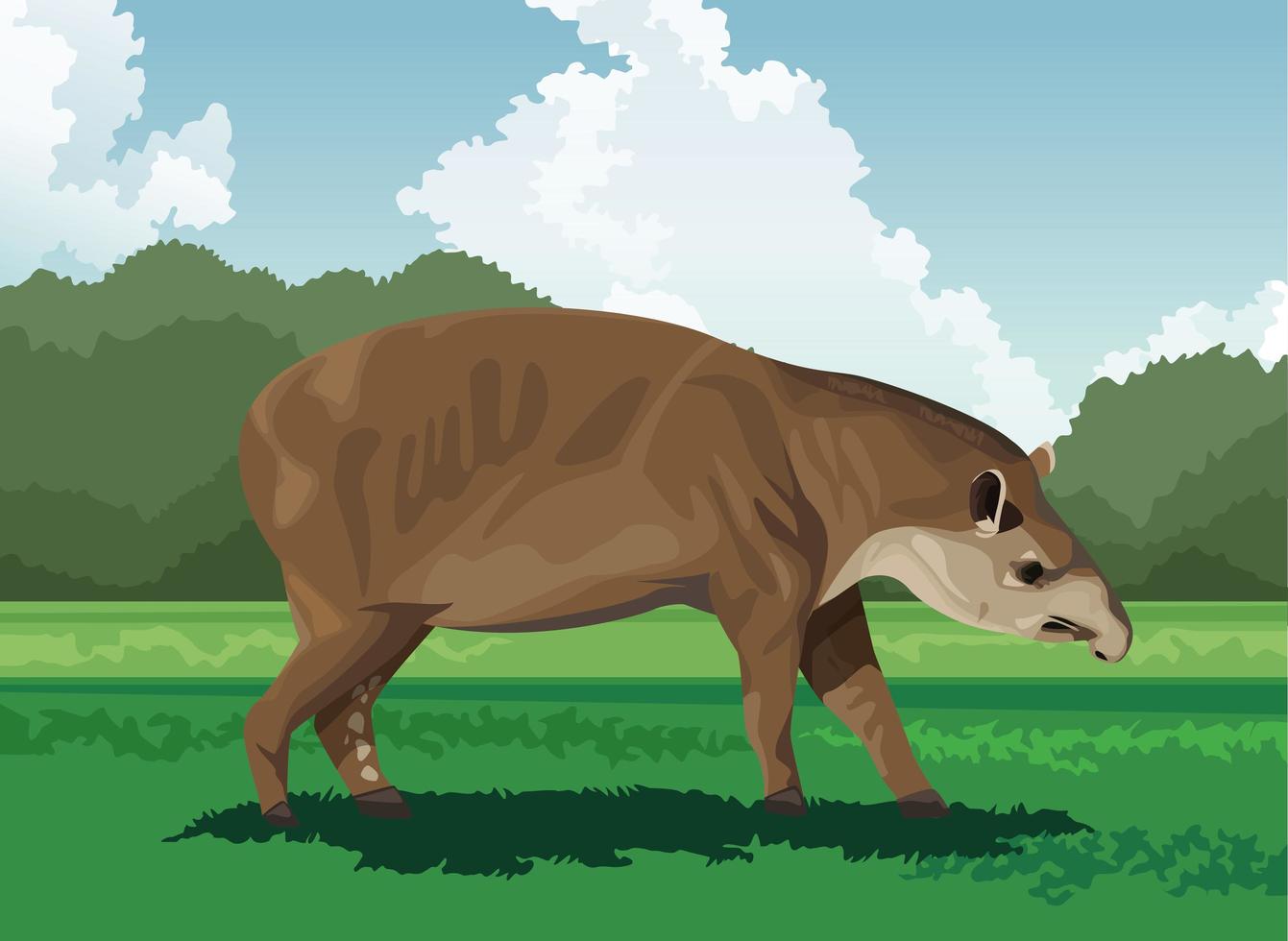 tapir salvaje en el campo vector