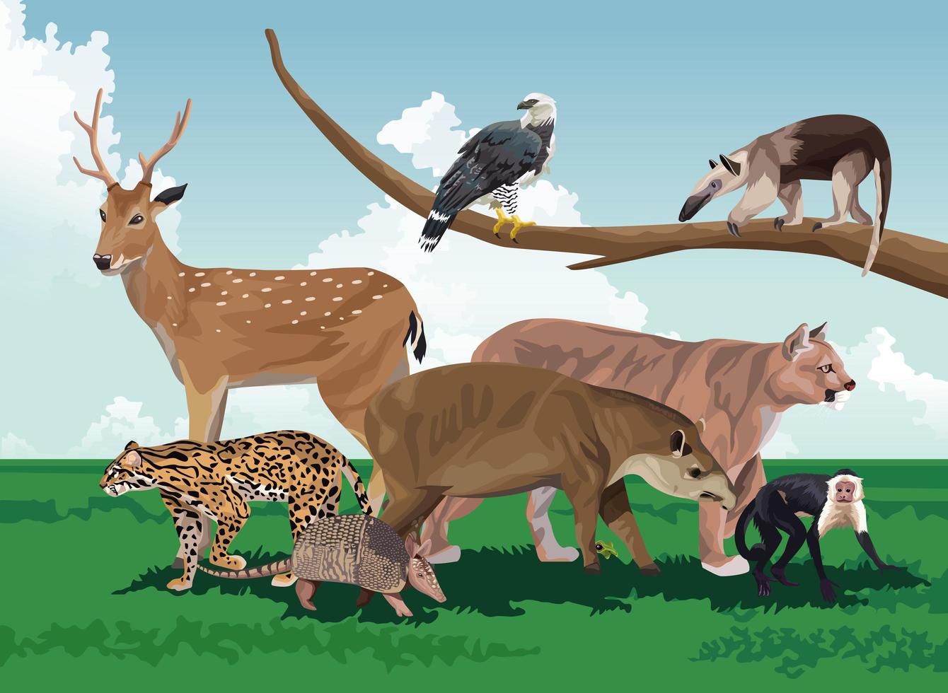 grupo de animales salvajes en el campo. vector
