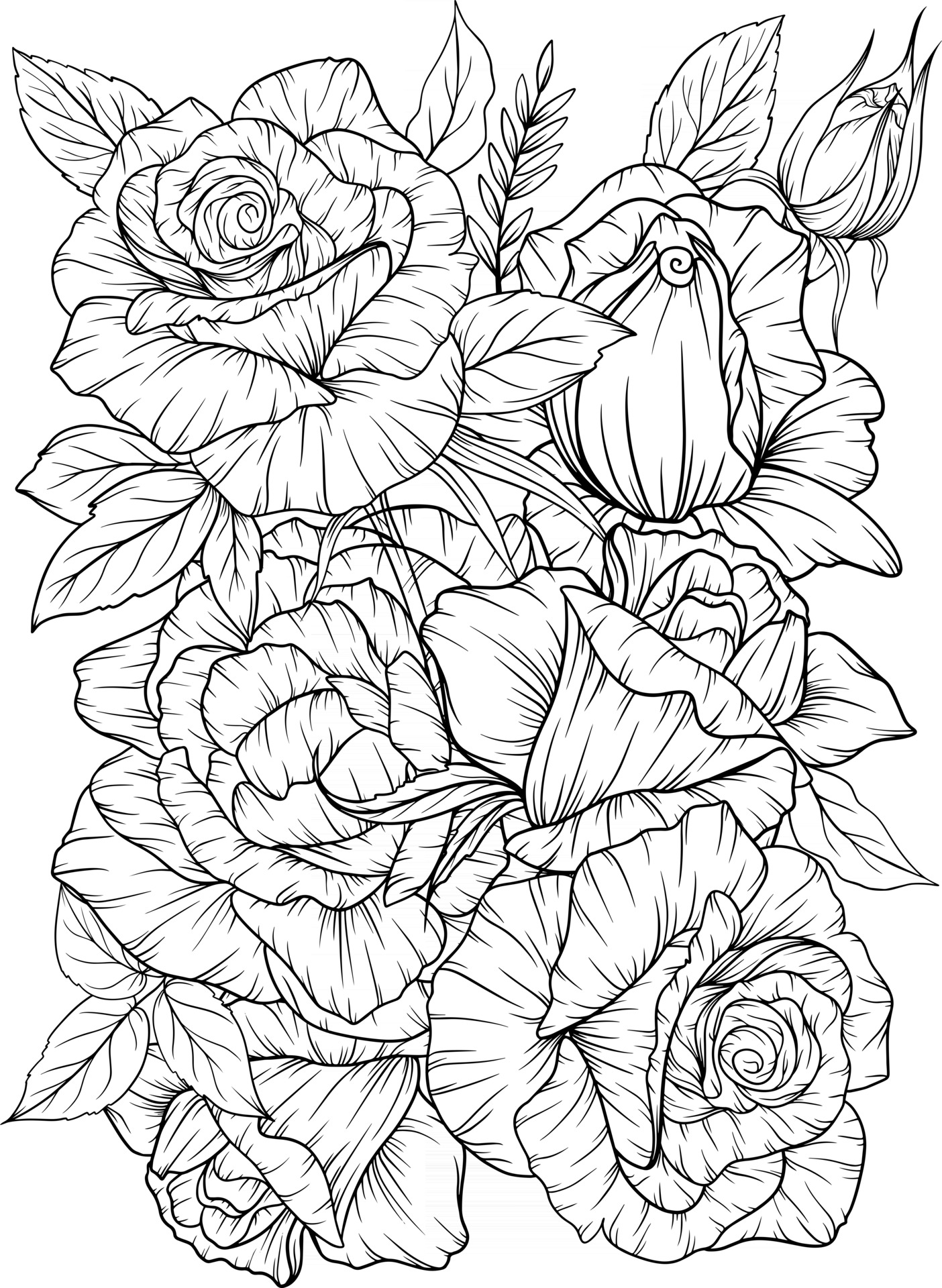 Coloring Page With Roses And Leaves Black And White Outline Antistress Coloring Flower Line Art 2505376 Vector Art At Vecteezy