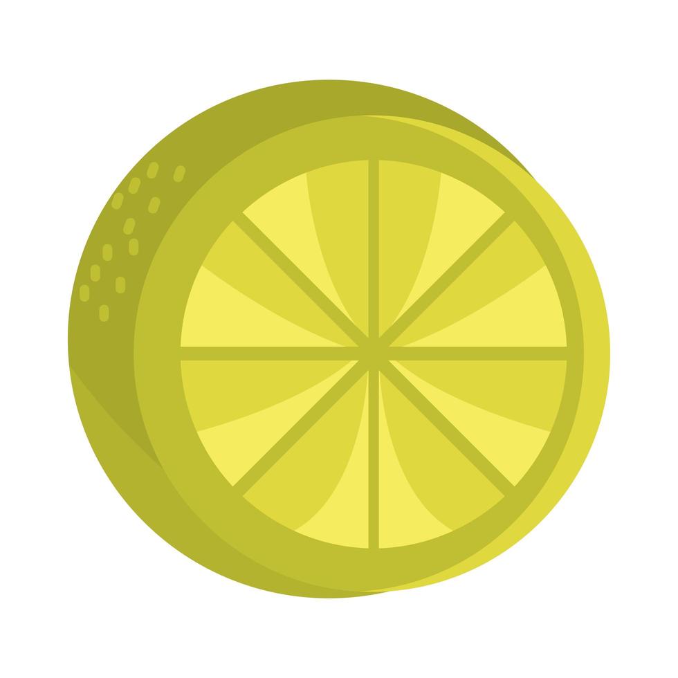 rodaja de limón cítricos tropicales vector