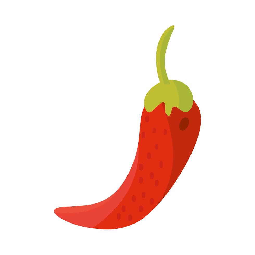 cinco de mayo chili pepper condiment vector