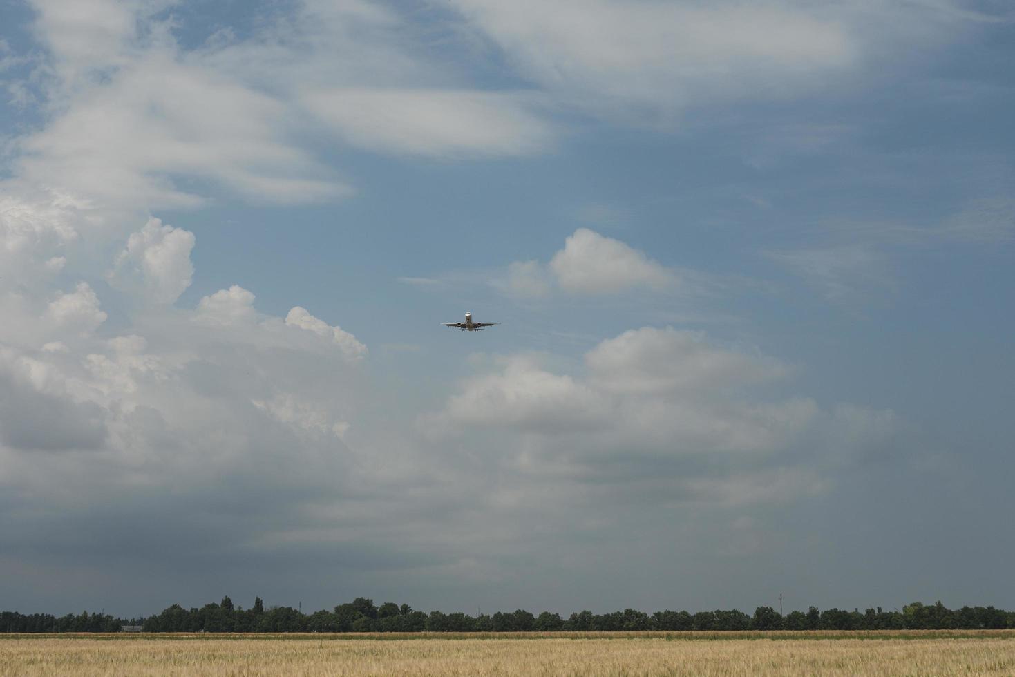 the plane comes on board flying over the field with wheat photo