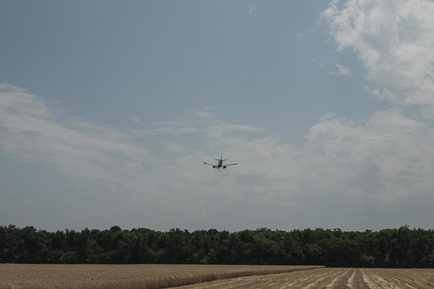 the plane comes on board flying over the field with wheat photo