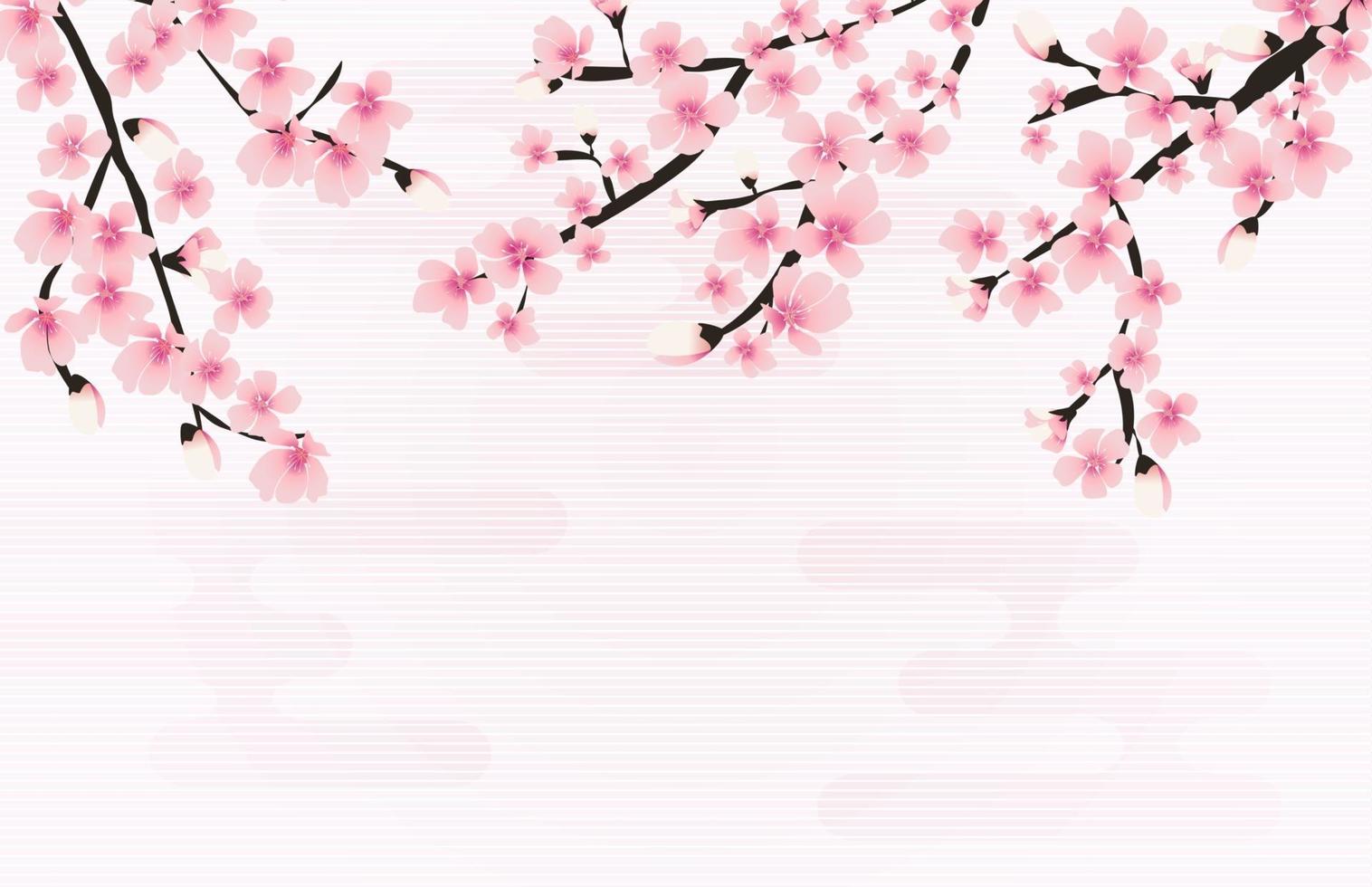 Abstract Floral Sakura Flower Japanese Natural Background Vector Illustration