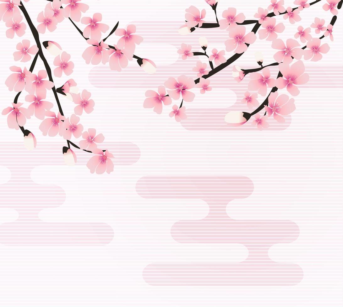Abstract Floral Sakura Flower Japanese Natural Background Vector Illustration