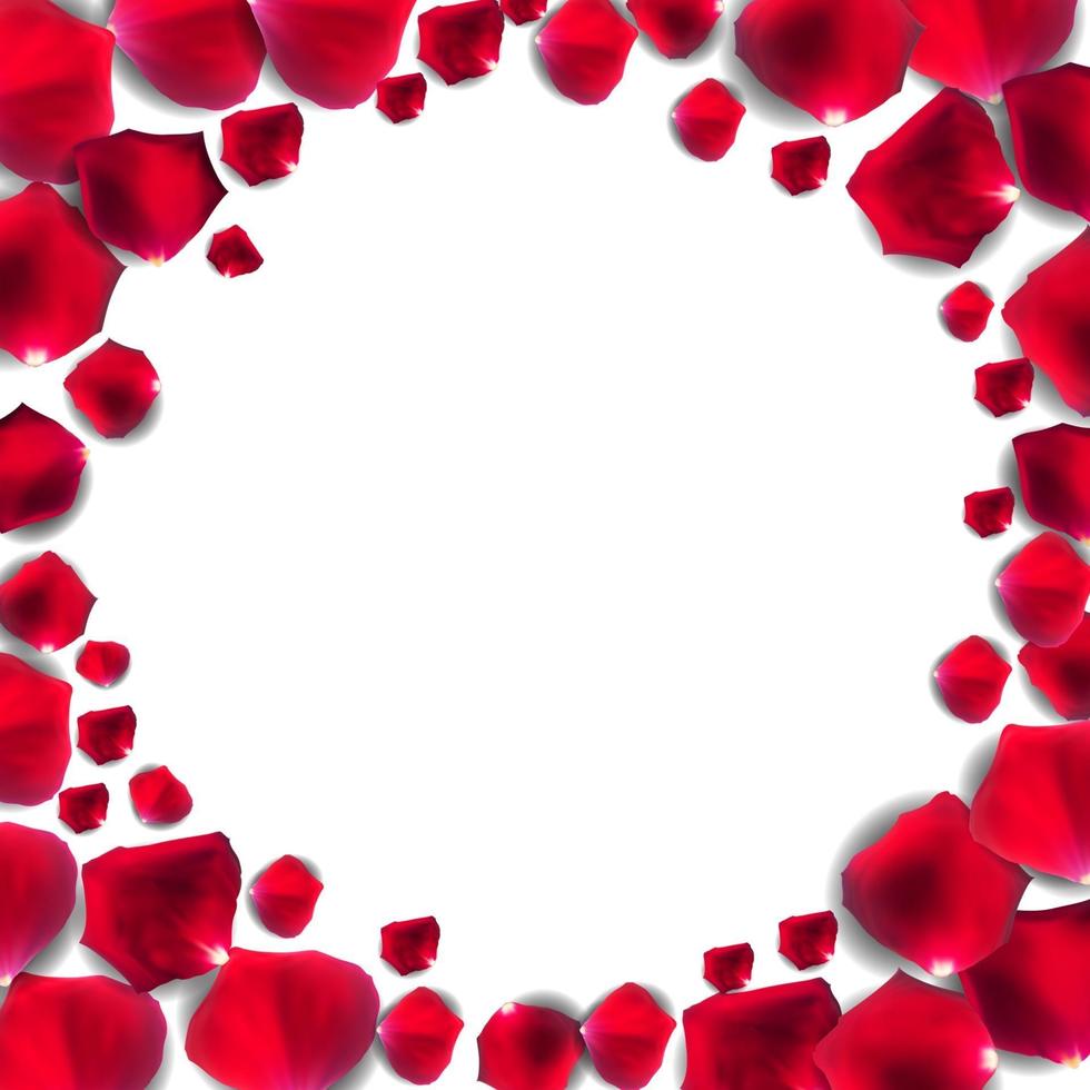 Abstract Natural Rose Petals Frame Background Realistic Vector Illustration