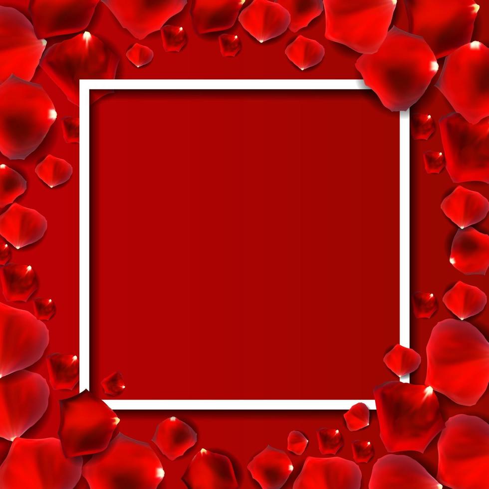 Abstract Natural Rose Petals Frame Background Realistic Vector Illustration