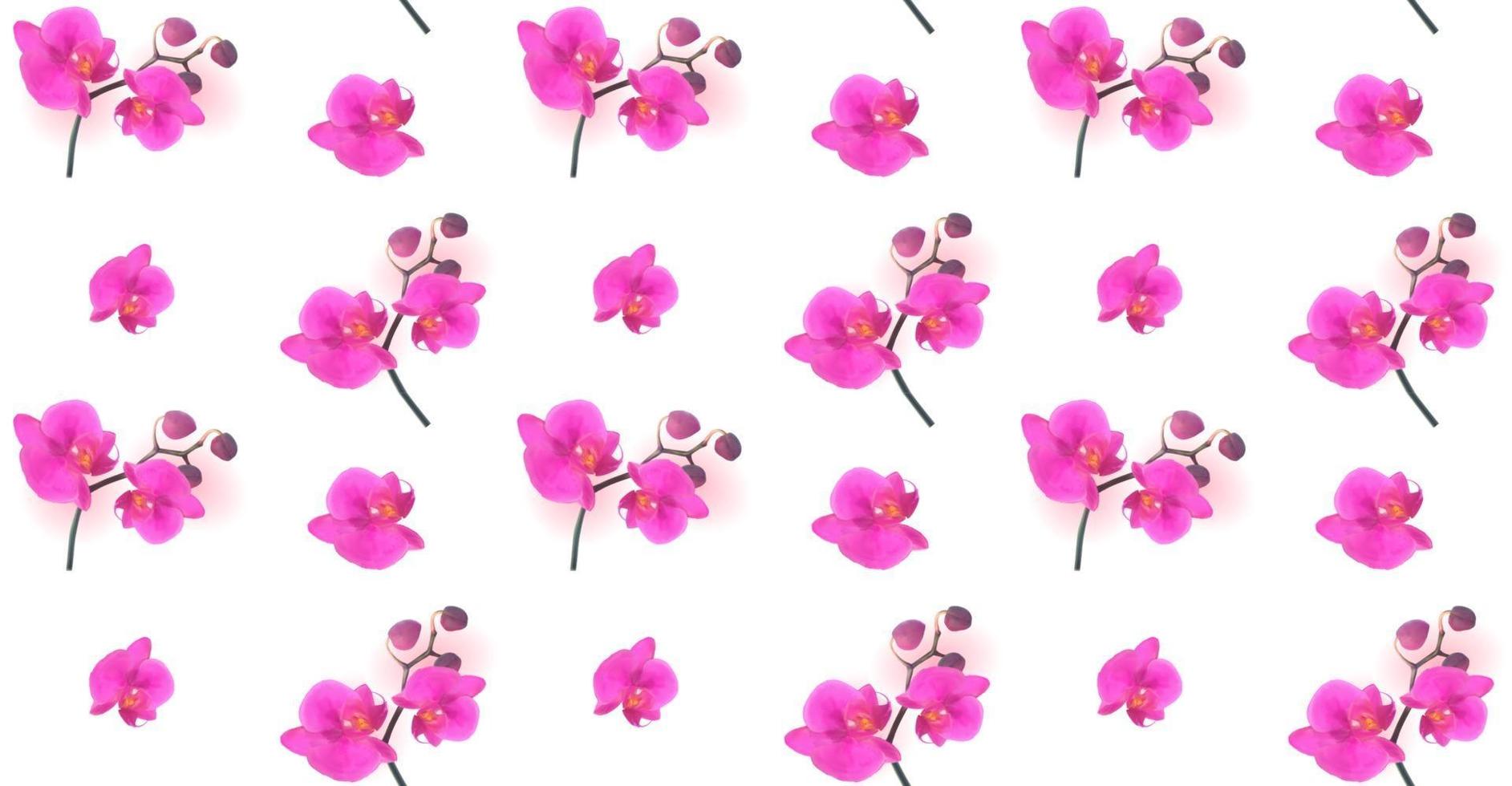 Seamless Pattern Naturalistic Beautiful Colorful Pink Orchid vector