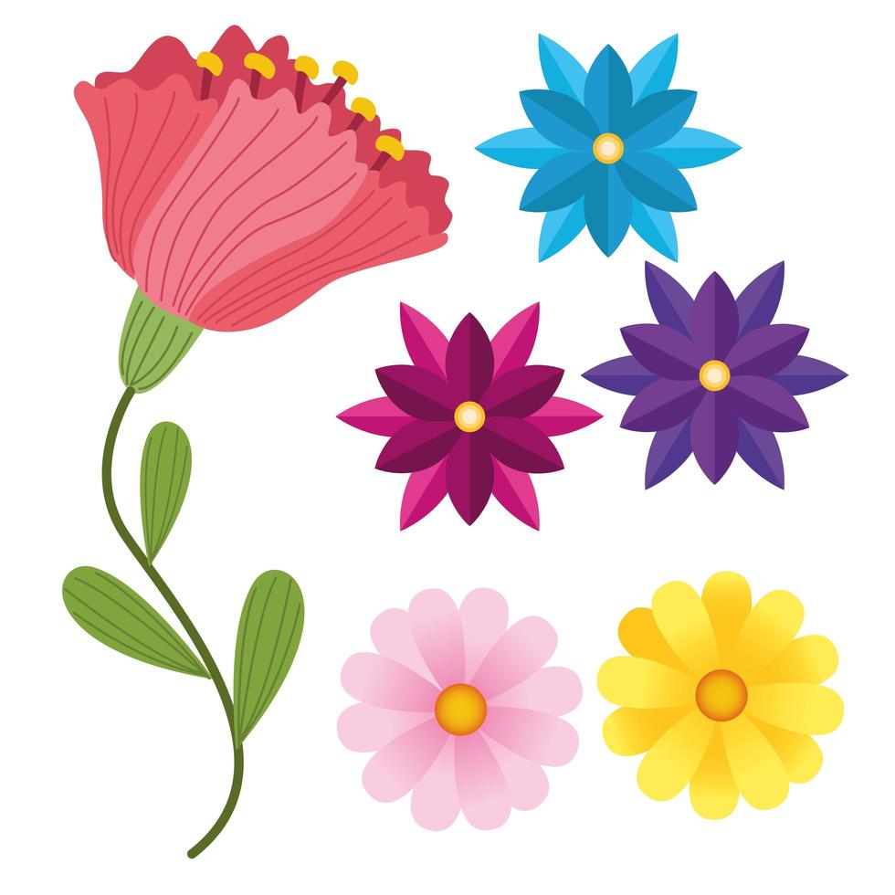bundle of six flowers colors icons vector